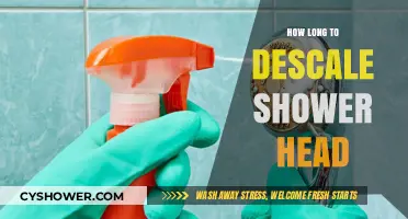 Quick Guide: Descaling Your Shower Head for Optimal Performance