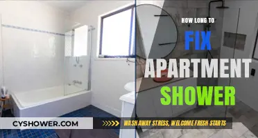 Quick Guide: Repairing Your Apartment Shower in Minimal Time