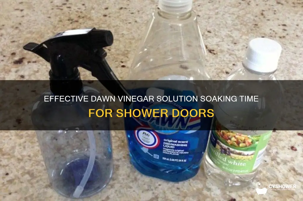how long to leave dawn vinegar solution on shower doors