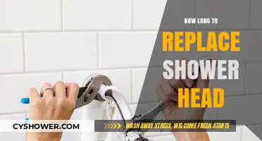 Quick Guide: Replacing Your Shower Head in Minutes, Not Hours