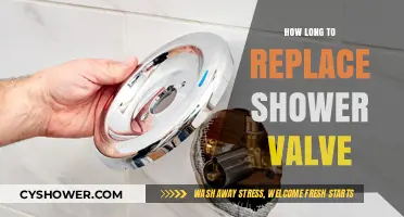 Quick Guide: Replacing Your Shower Valve – Timeframe and Tips