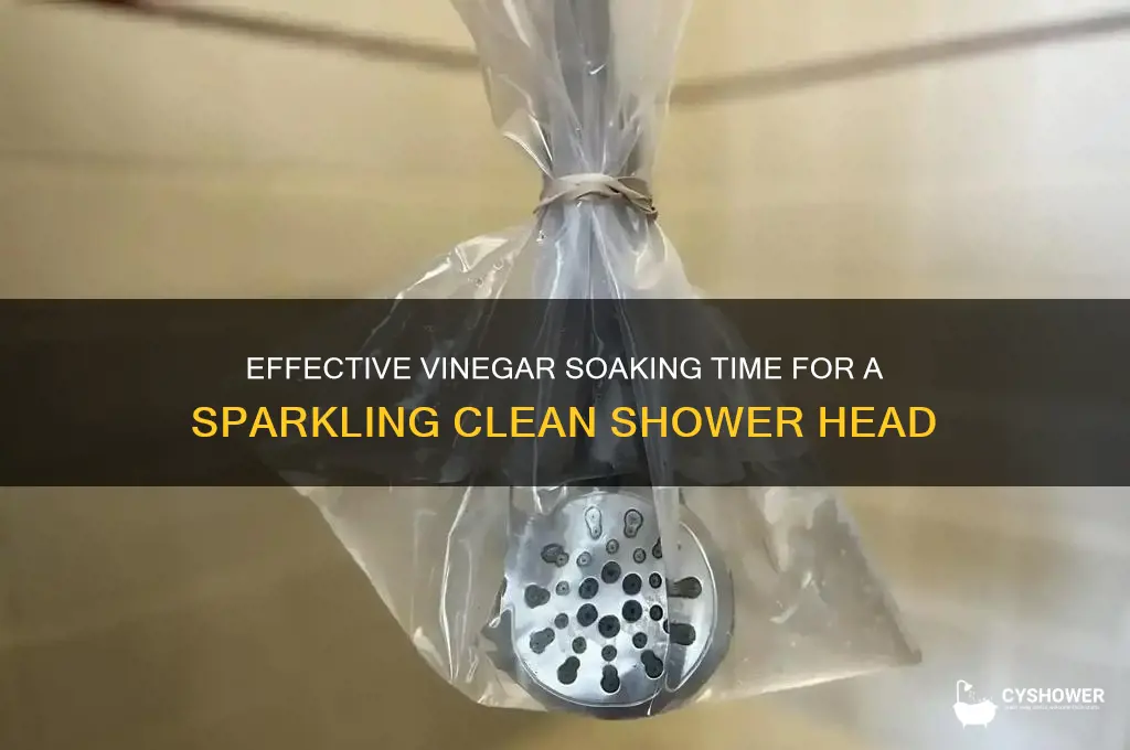 how long to soak a shower head in vigar