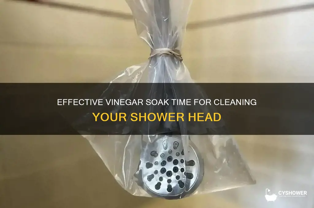 how long to soak a shower head in white vinegar