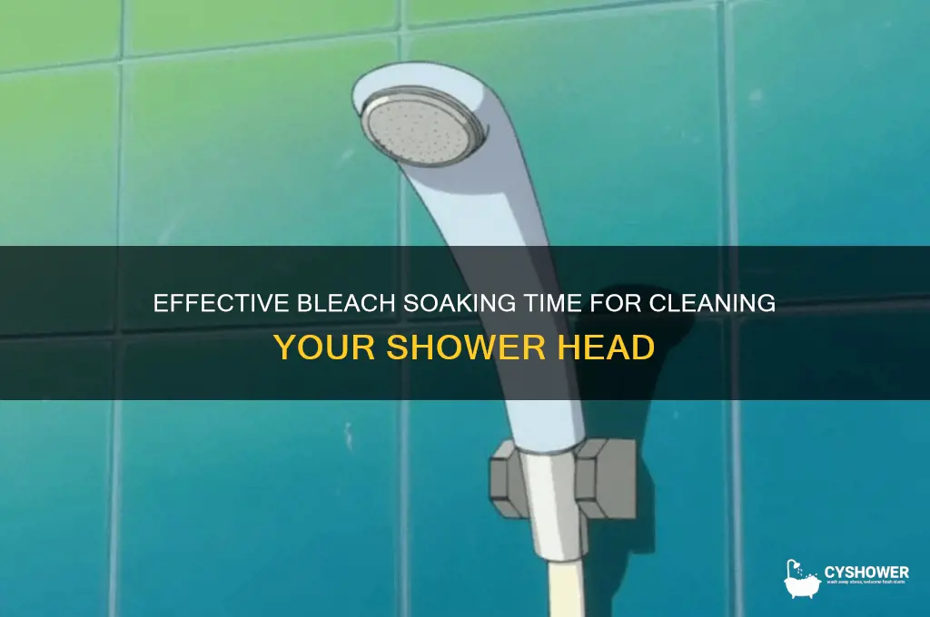 how long to soak shower head in bleach