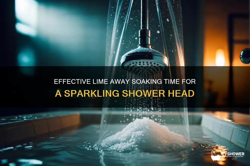 how long to soak shower head in lime away