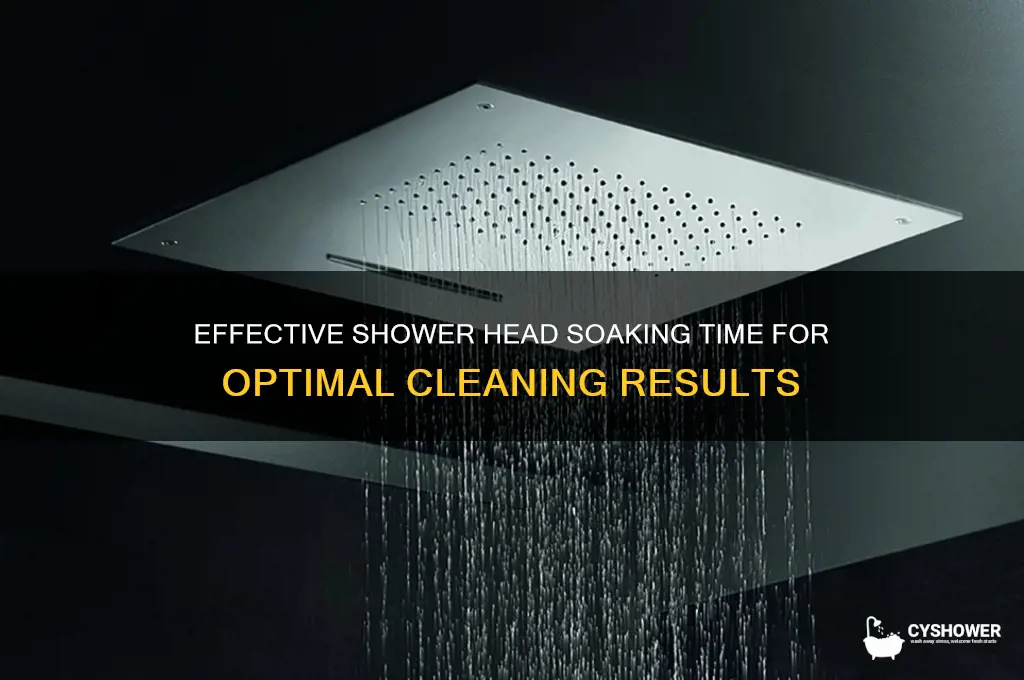 how long to soak shower head