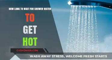 Waiting for Hot Shower Water: How Long Should You Wait?