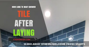 Perfect Timing: When to Shower After Laying Tile – Expert Tips