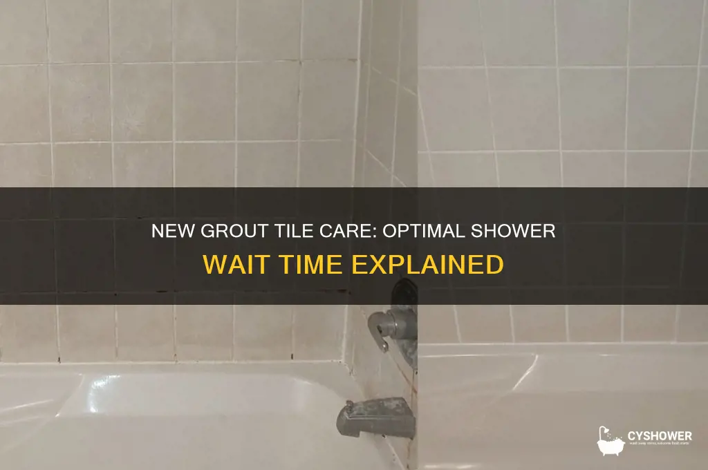 how long to wait to shower after new grout tile