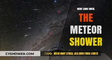 When Will the Meteor Shower Peak? A Stargazer's Countdown Guide