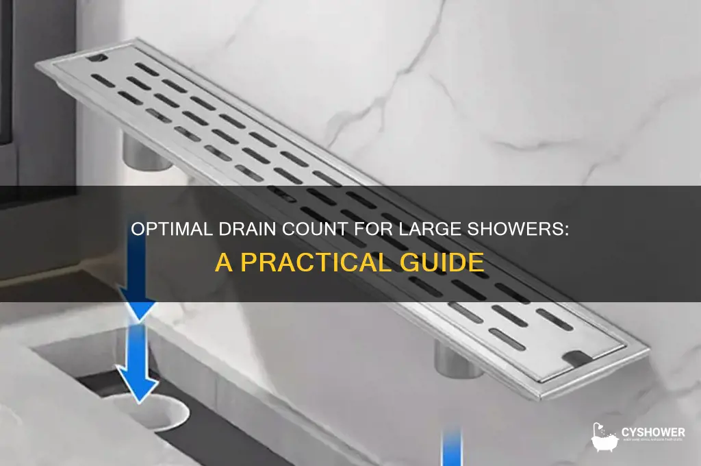how many drain for large shower