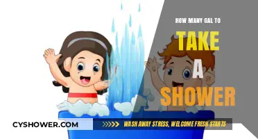 Shower Water Usage: How Many Gallons Does a Shower Take?