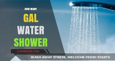Efficient Showering: Understanding Gallon Water Usage for Eco-Friendly Habits