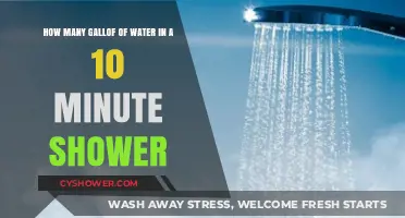 Shower Water Usage: How Many Gallons in a 10-Minute Shower?