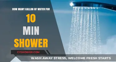 Shower Water Usage: How Many Gallons Does a 10-Minute Shower Consume?