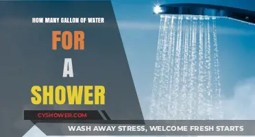 Shower Water Usage: How Many Gallons Does Your Shower Consume?