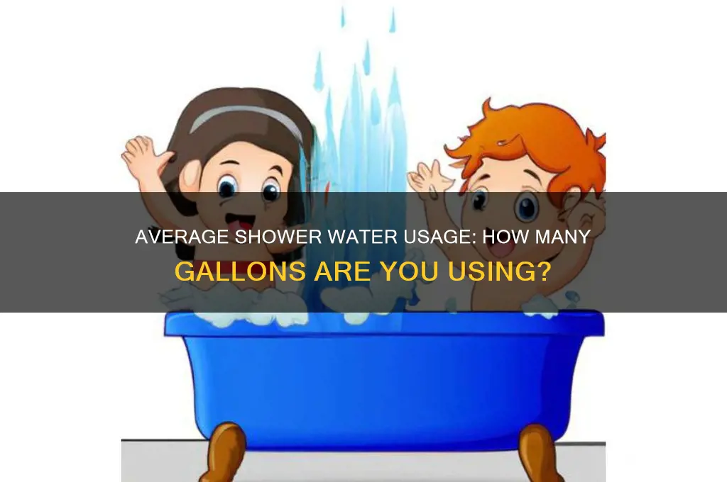 how many gallons an average shower take