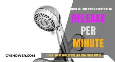 Shower Head Flow Rate: Understanding Gallons Per Minute Usage