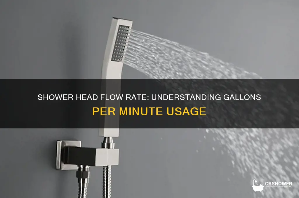 how many gallons does a shower head release per minute