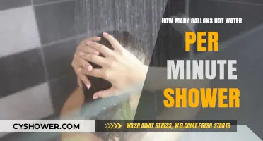 Shower Efficiency: Understanding Your Hot Water Usage Per Minute