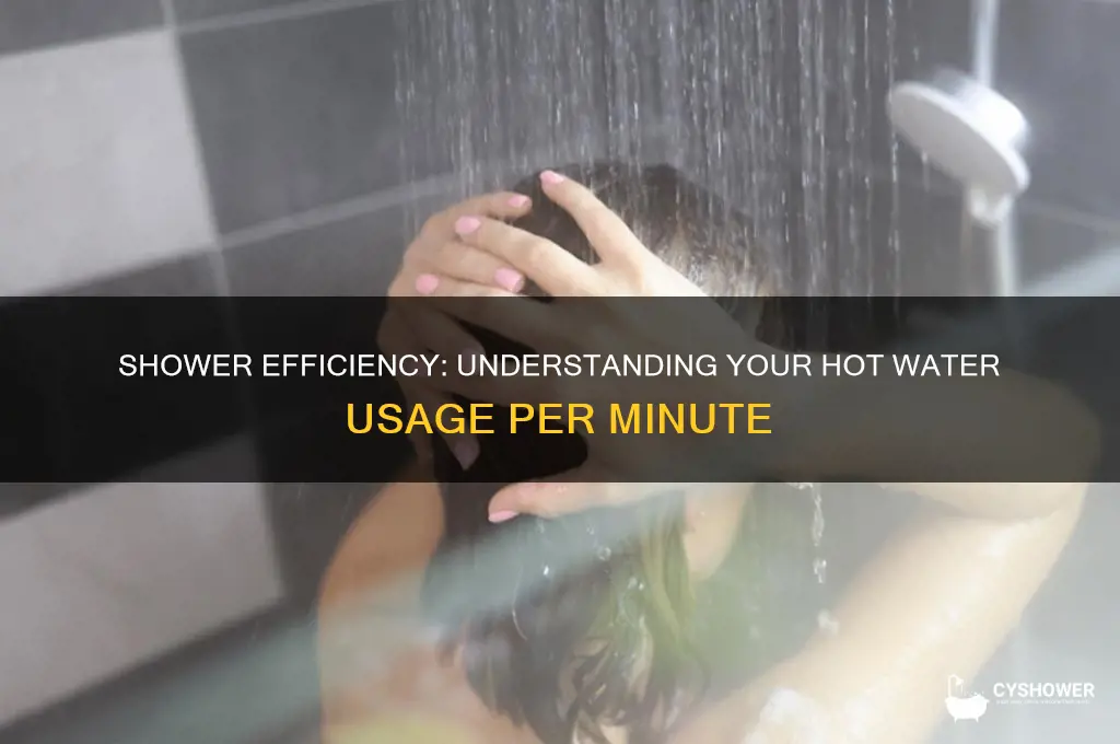 how many gallons hot water per minute shower