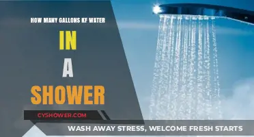Shower Water Usage: How Many Gallons Are You Using?