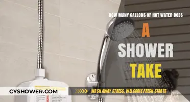 Shower Efficiency: Understanding Your Hot Water Usage in Gallons