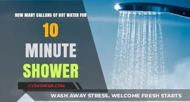 Calculating Hot Water Usage for a 10-Minute Shower: Gallons Explained