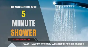 5-Minute Shower Water Usage: How Many Gallons Are You Using?