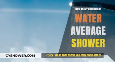 Average Shower Water Usage: How Many Gallons Are You Using?