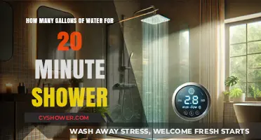 Shower Water Usage: How Much is 20 Minutes in Gallons?