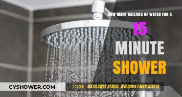 Efficient Showering: Water Usage in a 15-Minute Shower Explained