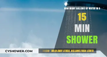 Shower Water Usage: How Much Water Does a 15-Minute Shower Consume?