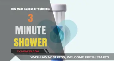 Efficient Showering: Uncovering Water Usage in a 3-Minute Shower