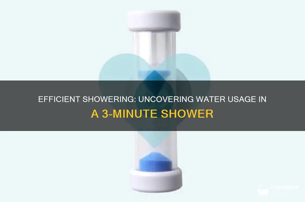 how many gallons of water in a 3 minute shower