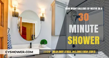Shower Water Usage: Uncovering the Gallons in a 30-Minute Shower