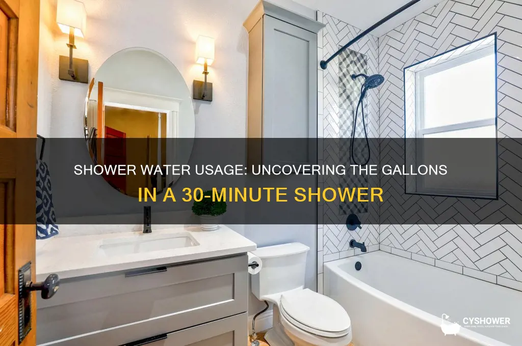 how many gallons of water in a 30 minute shower