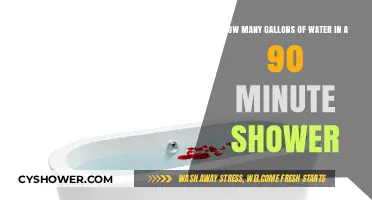Shocking Water Usage: 90-Minute Showers and Their Gallon Impact