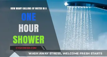 Shower Water Usage: How Many Gallons Are Used in an Hour?