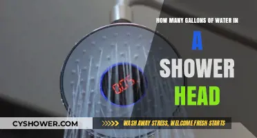 Shower Head Water Usage: How Many Gallons Are You Using?