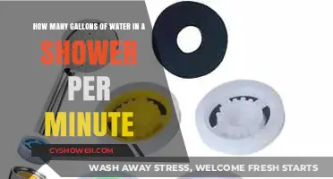 Shower Water Usage: Understanding Gallons Per Minute Flow Rates