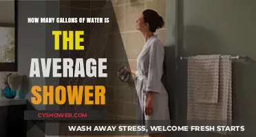 Average Shower Water Usage: How Many Gallons Are You Using?
