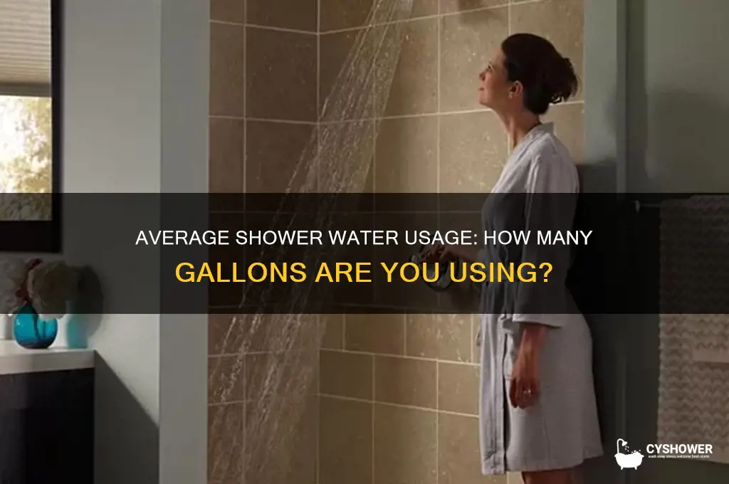 how many gallons of water is the average shower