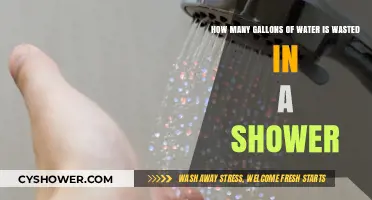 Shocking Shower Water Waste: How Many Gallons Are Lost?