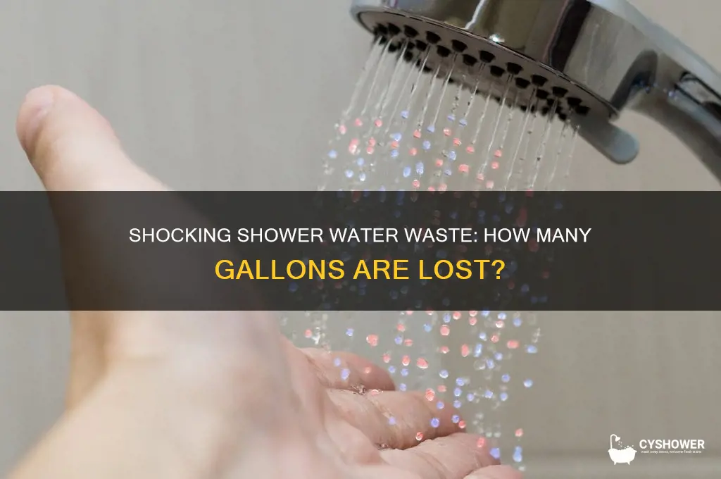 how many gallons of water is wasted in a shower