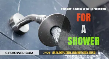 Optimize Your Shower Flow: Understanding Gallons Per Minute Usage