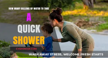 Quick Shower Water Usage: How Many Gallons Do You Need?