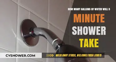 Shower Water Usage: Uncovering the Gallons in a 5-Minute Rinse