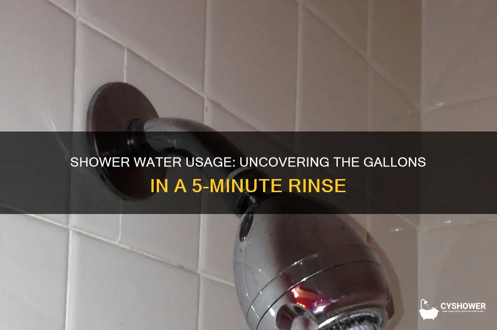 how many gallons of water will 5 minute shower take