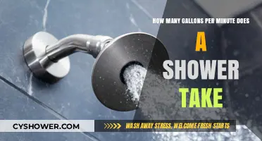 Shower Water Usage: Understanding Your Gallons Per Minute Flow Rate